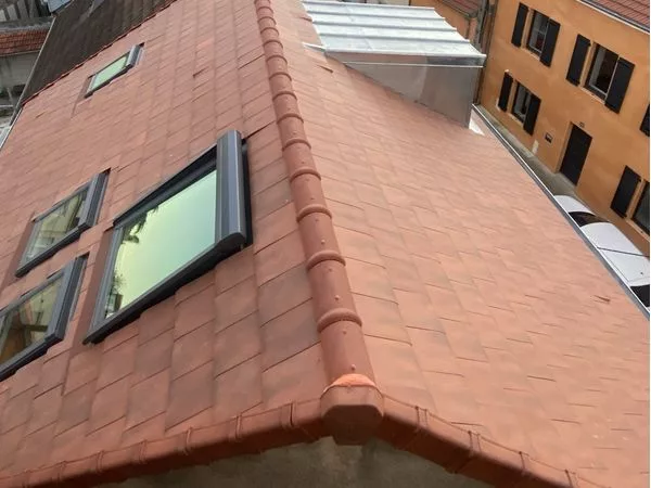 Pose et r&eacute;paration de Velux dans l'Allier (03)